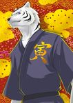  backround clean furry male male_focus no_humans purple robe solo tiger white white_tiger 