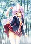  animal_ears bamboo bamboo_forest blazer blush breasts bunny_ears cleavage crescent dress_shirt forest jacket long_hair miniskirt nature necktie no_bra open_clothes open_shirt panties pink_hair pink_panties plaid plaid_skirt pleated_skirt red_eyes red_neckwear red_skirt reisen_udongein_inaba seminoyu shirt skirt skirt_lift small_breasts smile solo thighhighs touhou underwear white_legwear white_panties 