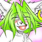  blush breasts canine clothing ear_piercing female fox green_eyes green_hair hair heterochromia locationnow looking_at_viewer mammal meme nude o_face open_mouth piercing plain_background solo tongue tongue_out 