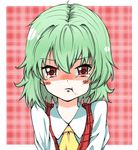  :t ascot blush_stickers face green_hair kazami_yuuka ketappu looking_at_viewer plaid plaid_background plaid_vest pout red_eyes solo tears touhou upper_body vest 