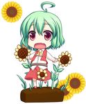  ahoge ascot bad_id bad_pixiv_id belt chibi fang flower green_hair kazami_yuuka medium_skirt open_mouth outstretched_arms pilky plaid plaid_skirt plaid_vest red_eyes red_skirt shirt short_hair skirt skirt_set solo sunflower touhou unmoving_pattern vest 