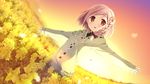  :o blush bow braid brown_hair dutch_angle field flower game_cg hair_bow hair_flower hair_ornament highres hood hoodie kantoku looking_away open_mouth outstretched_arms petals red_eyes short_hair side_braid solo spread_arms sunset sweater your_diary yua_(your_diary) 