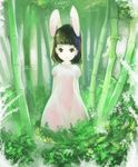  animal_ears bamboo bamboo_forest bangs black_hair blunt_bangs bunny_ears english expressionless forest green gua inaba_tewi nature short_hair signature solo standing touhou 