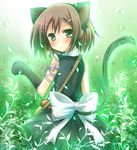  animal_ears baka_to_test_to_shoukanjuu bow cat_ears cat_tail kinoshita_hideyoshi kouta. looking_back male_focus otoko_no_ko paws solo tail 