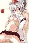  momiji_inubashiri tagme touhou 