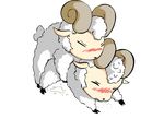  animal animated sheep tagme 