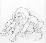  lynxgirl tagme the_lion_king 