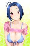  ahoge blue_bra blue_hair blush bra breasts cleavage idolmaster idolmaster_(classic) large_breasts lingerie looking_at_viewer miura_azusa pink_eyes shirt_lift short_hair smile solo ueyama_michirou underwear upper_body 