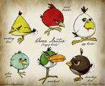  angry_birds avian beak bird blue_eyes brown_eyes diagram green_eyes grey_eyes latin shane_parker tail 
