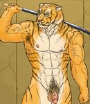  anthro balls biceps big_muscles feline fur gemini_kemono green_eyes katana looking_at_viewer male mammal muscles nude penis pose samurai solo sword tiger unknown_artist warrior weapon yellow_eyes 