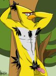  anthro avian balls bird looking_at_viewer male nude penis solo yellow yellow_body 