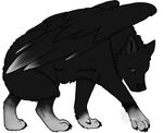  black black_fur canine feral fur mammal solo toradoshi white_paws white_tip_wings wings wolf 