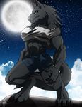  alora_(walter_sache) anthro biceps big_breasts black breasts canine claws clothing female grey_eyes hair hindpaw long_hair looking_at_viewer mammal moon muscles muscular_female night paws photo_background solo tail walter_sache wolf 