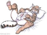  anus balls feline lying lynx male mammal nude on_back penis pillow ratcandy solo spread_legs spreading 