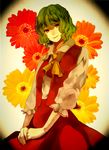  ascot azure_starblue bad_id bad_pixiv_id dress_shirt flower green_hair kazami_yuuka petals plaid red_skirt shirt short_hair skirt skirt_set smile solo touhou vest yellow_eyes 