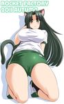  animal_ears blush breasts brown_eyes buruma cameltoe cat_ears cat_tail footwear frown green_hair gym_uniform kneeling large_breasts long_hair milk_(tongpoo) milk_(tonpuu) original shoes socks solo tail tongpoo tonpuu 