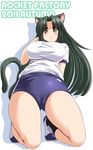  animal_ears blush breasts brown_eyes buruma cameltoe cat_ears cat_tail footwear frown green_hair gym_uniform kneeling large_breasts long_hair milk_(tongpoo) milk_(tonpuu) original shoes socks solo tail tongpoo tonpuu 