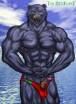  anthro balls bear biceps blue_fur bomb_(artist) brown_fur clothed clothing erection flexing fur glans half-dressed humanoid_penis looking_at_viewer male mammal muscles nipples pecs penis pinup poking_out pop_out pose sea solo speedo standing swimsuit thong topless uncut vein water 