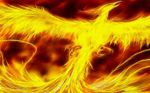  beak claws fire fire_bird firebird orange_theme phoenix red warm_colors wings wings_of_fire 
