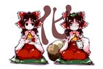  animal_ears bottle bow brown_eyes brown_hair cosplay detached_sleeves futatsuiwa_mamizou glasses hair_bow hair_ribbon hair_tubes hakurei_reimu hakurei_reimu_(cosplay) japanese_clothes jitome leaf leaf_on_head multiple_girls nyoron_(fudegatana) pince-nez raccoon_ears raccoon_tail ribbon tail touhou translated 