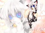 :3 animal_ears bell bell_collar blue_eyes blush cat cat_ears cat_eyes cat_tail collar furry highres holding looking_at_viewer navel pillow slit_pupils smile solo tail tashiro_yuu tetetor-oort translation_request whiskers white_hair 