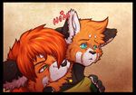  &hearts; &lt;3 age_difference ambiguous_gender anthro bite cub dk_luis dktorzi duo female from_behind fur hair male mammal neck_bite nom red_panda size_difference straight young 