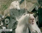  equine gandalf ganhorse horse horsedalf human lord_of_the_rings male mammal parody photo_manipulation something_awful unknown_artist what_has_magic_done 