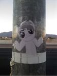  ambiguous_gender black_and_white cutout equine feral friendship_is_magic hair horse looking_at_viewer mammal monochrome my_little_pony pole pony public rainbow_dash_(mlp) real road shrug solo street tape 