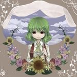  ascot blue_sky cloud flower green_hair highres kazami_yuuka nami_(snow) parasol plaid plaid_vest plant red_eyes shirt short_hair sky sky_print smile solo sunflower touhou umbrella vest vines 