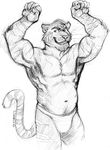  feline flexing lolverine looking_at_viewer male mammal muscles one_eye_closed pose sketch solo speedo swimsuit tiger topless underwear wink 