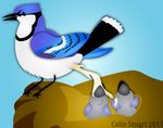  avian beak bird blood blue blue_feathers blue_jay cloaca colinstu eating_shit f&aelig;ces feathers feces feeding feral group nest scat 