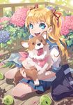  apple bag bf._(sogogiching) blonde_hair blue_eyes blue_skirt dog flower flower_pot food fruit hair_ribbon hydrangea miniskirt open_mouth original petals pleated_skirt ribbon school_uniform shirt sitting skirt smile solo tongue tongue_out twintails welsh_corgi 