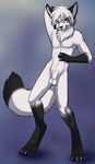  ajna anthro arctic_fox balls canine fox fur licking licking_lips male mammal nude sheath solo tongue white_fur 