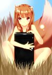  animal_ears blush brown_hair computer holo long_hair murasaki_imo nude red_eyes sitting solo spice_and_wolf tail wolf_ears wolf_tail 