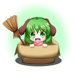  :3 animal_ears bad_id bad_pixiv_id banned_artist blush box broom cardboard_box green_eyes green_hair hair_ornament hairclip in_box in_container kasodani_kyouko oohirakeisuke open_mouth short_hair smile solo touhou 