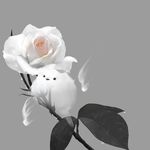  flower ghost hiko_(lg612) leaf no_humans original realistic rose simple_background water_drop white_flower white_rose 