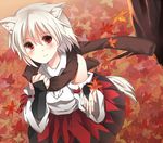  animal_ears autumn bad_id bad_pixiv_id hyouka_(rat_hut) inubashiri_momiji leaf maple_leaf no_hat no_headwear scarf solo touhou wolf_ears 