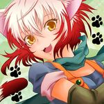  :3 animal_ears bad_id bad_pixiv_id blue_shirt cat_ears cat_tail face gloves kemonomimi_mode multicolored_hair nyaa87kinkabyo pascal paw_print red_hair scarf shirt short_hair smile solo tail tales_of_(series) tales_of_graces two-tone_hair white_hair yellow_eyes 