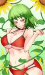  &gt;:) arms_up bangs bikini blush body_blush breast_squeeze breasts choker cleavage collarbone covered_nipples floral_background flower ginko_(nico) green_hair head_tilt hips kazami_yuuka large_breasts looking_at_viewer midriff navel red_eyes shiny shiny_skin smile solo sunflower swimsuit touhou v-shaped_eyebrows wide_hips 