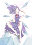  blue_dress blue_eyes blue_hair bow cirno dress eating food frog frozen frozen_frog hair_bow ice_block kuronuko_neero no_shoes popsicle shirt short_hair sitting sitting_on_object solo touhou watermelon_bar wings 