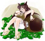  adjusting_eyewear alcohol animal_ears bloomers blush bracelet brown_dress brown_eyes brown_hair dress futatsuiwa_mamizou glasses impossible_clothes impossible_shirt jewelry leaning_back one_eye_closed pince-nez plant raccoon_ears raccoon_tail sake sandals shirt short_hair sitting smile solo tail touhou underwear vines yakuta_tetsuya 