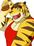  biceps body_markings clothing feline fruitz gamma-g green_eyes looking_at_viewer male mammal markings morenatsu muscles open_mouth pecs plain_background shirt solo stripes tank_top teeth tiger tongue torahiko_ooshima white_background 