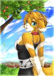  &#12489;&#12463; ?? apple black_nose blue_eyes canine clothed clothing cloud clouds dog female fruit grass looking_back mammal open_mouth outside pinup pose solo standing tree wood 