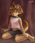  blush brown_nose bulge canine class_of_heroes clothing collar crossdressing dwarf dwarf_(coh) eixin female girly grey_eyes hair looking_at_viewer male mammal orange_hair panties pinup pose shirt short_hair short_orange_hair sitting skirt solo top underwear 