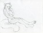  anthro breasts cat feline female fingering mammal masturbation nipples nude ruaidri sketch solo 
