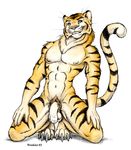  claws feline flaccid kneeling looking_at_viewer male mammal nude penis pubes solo stripes tiger uncut wookiee_(artist) 