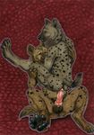  anal anal_penetration anthro balls belly butt claws duo erection eyes_closed gay gnoll hindpaw hyena knot looking_back male mammal pawpads paws penetration penis raised_leg riding same_species sex shallow_penetration twice 
