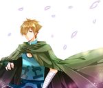  bad_id bad_pixiv_id brown_eyes brown_hair cloak fate/extra fate/stay_night fate_(series) fingerless_gloves gloves hair_over_one_eye hood kazuki_shino male_focus petals robin_hood_(fate) solo 