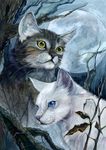  animal aogachou blue_eyes cat leaf moon night no_humans tree whiskers white_fur yellow_eyes 