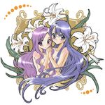  blue_eyes breasts floral_background flower heartcatch_precure! highres holding_hands kurumi_momoka lavender_hair lily_(flower) long_hair multiple_girls muumin nude precure purple_eyes purple_hair small_breasts tsukikage_yuri 